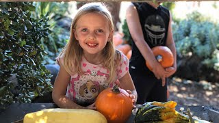 The BEST Pumpkin Patch in SoCal!! ~ Cal Poly PumpkinFest 2018