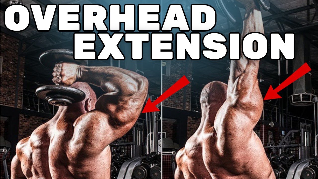 The Surprising Truth Cable vs. Dumbbell for Overhead TRICEPS YouTube