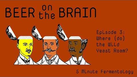 BotB - Where (Do) The Wild Yeast Roam