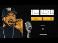 Ice Cube Scary Movie Official Music Hardcore Hip Hop Vibes mp3