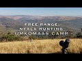 Nyala Hunting | Crusader Safaris