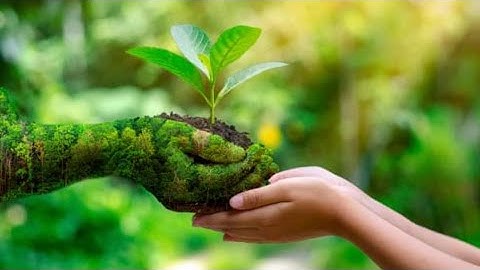 ECE6002 AT1 - Language of Science defined through place.