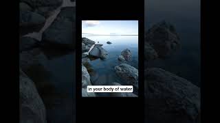 Day 8: 1 Sub = $1 Boat Challenge (Small Swimbait Tips) #swimbait #bassfishing