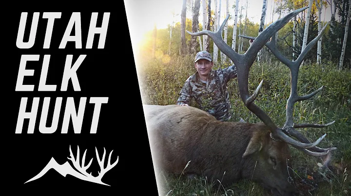 Big Utah Elk Hunt - Glimpse