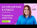 Possessive adjectives. Видеоурок 3 Английский язык 5 класс