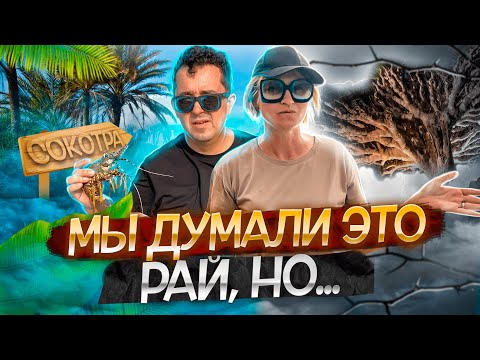 Остров СОКОТРА – рай или ад? Дикий путь сквозь драконовый лес к океану!