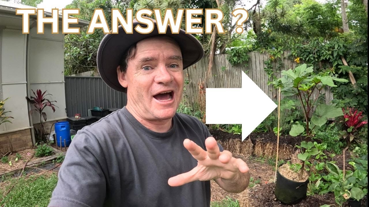 Пакеты для выращивания растений могут стать РЕШЕНИЕМ ваших проблем!