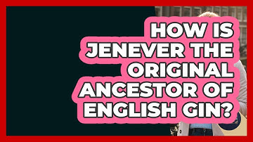 How Is Jenever The Original Ancestor Of English Gin? - Exploring The Benelux