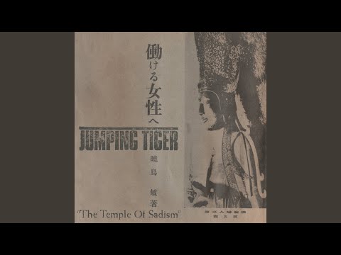 Jumping Tiger — Face Slapping State Of Trance