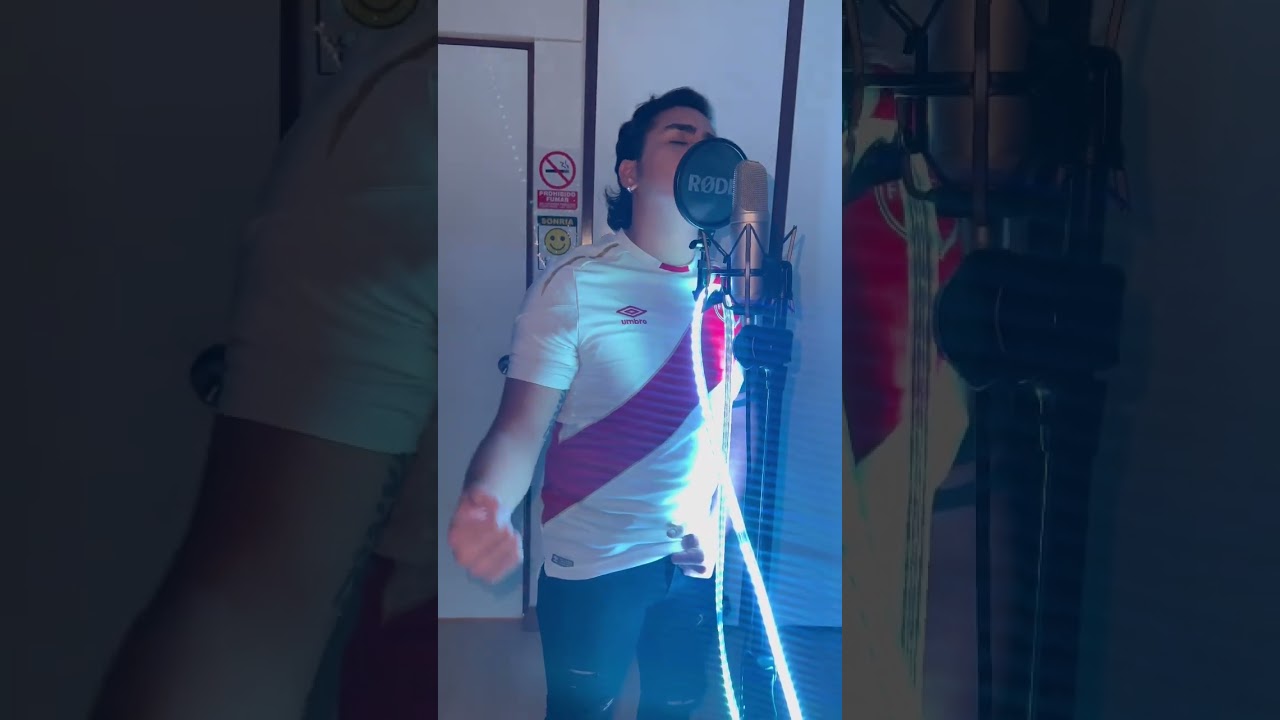 Sobre Mi Pecho Llevo Tus Colores
