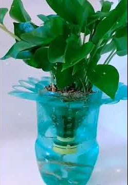 Tutorial Pemanfaatan Barang Bekas Botol Jd Pot Bunga|Kreatif