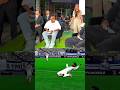 Vini Jr and are Bellingham playing fc mobile #fcmobile #fifa #fc26