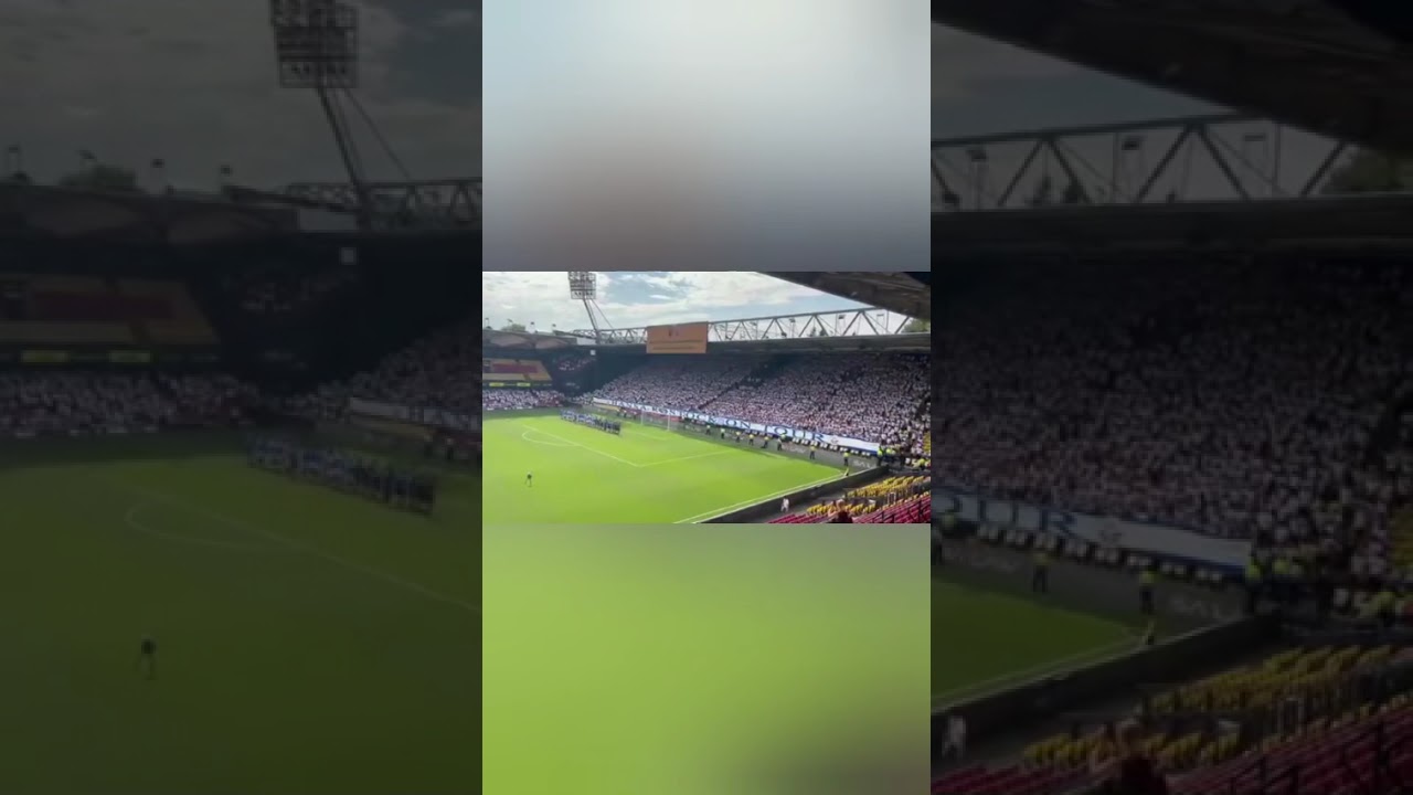 6,500 + Hansa Rostock fans at Vicarage Road!