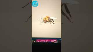 3D Animation of Bee🐝🔥. #workwithtechnology #3danimation #animation #shorts #technology #graphics