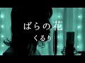 ばらの花 / くるり covered by 花雨