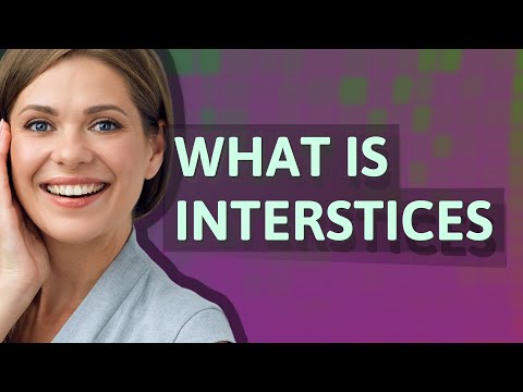 Interstices | meaning of Interstices