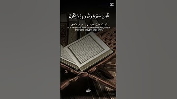 تلاوة خاشعة و هادئة #المصحف #القران #اكسبلور #الرحمن #لايك #حالات_واتس #العظماء