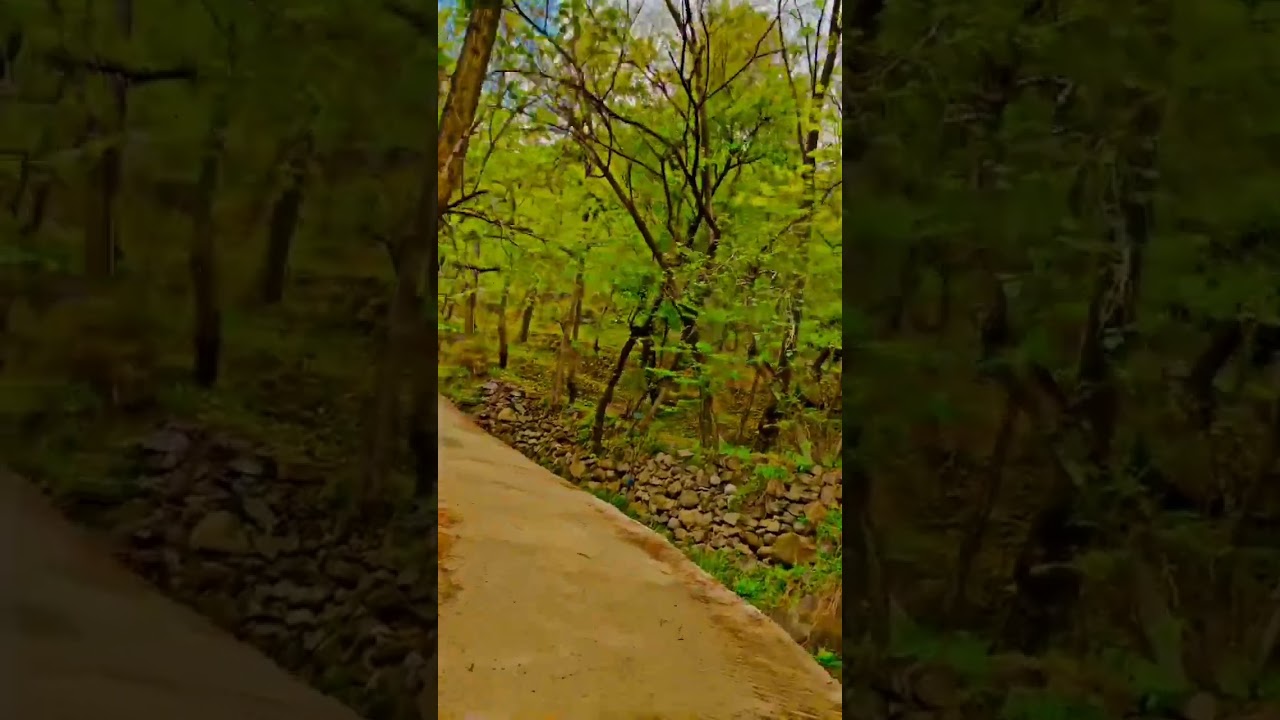 Swat valley pakistan natural beauty of Asia| Raining day today weather in Swat 