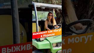 Выживают как могут в Израиле #израиль #жизньвизраиле #волонтеры #войнавизраиле