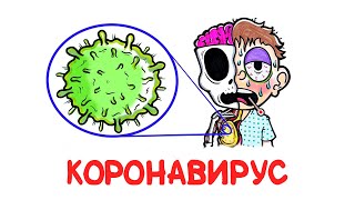 Коронавирус vs организм [AsapSCIENCE]