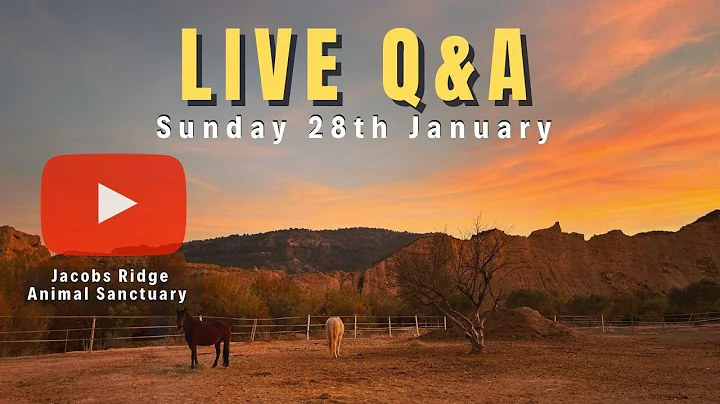 Sunday night Live Q&A 28th Jan 2024