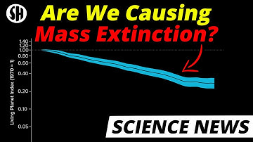 The Truth about Human-Caused Mass Extinction