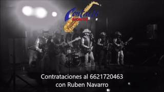 Video thumbnail of "Contacto Norte-El Rock Del Sapo"