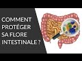 Quels sont les aliments bons pour notre flore intestinale ? - Question Nutrition