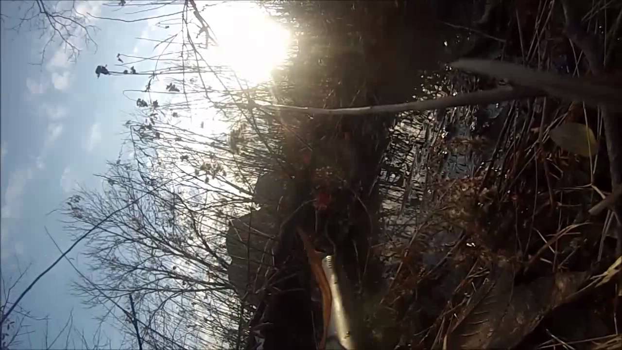 Lehigh Valley Paintball Edit