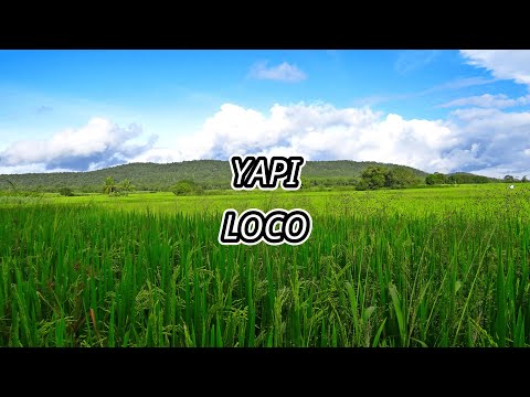 Yapi LOCO Letra Lyrics