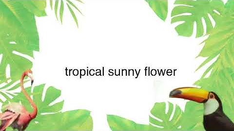 🏝 tropical intro 🏝