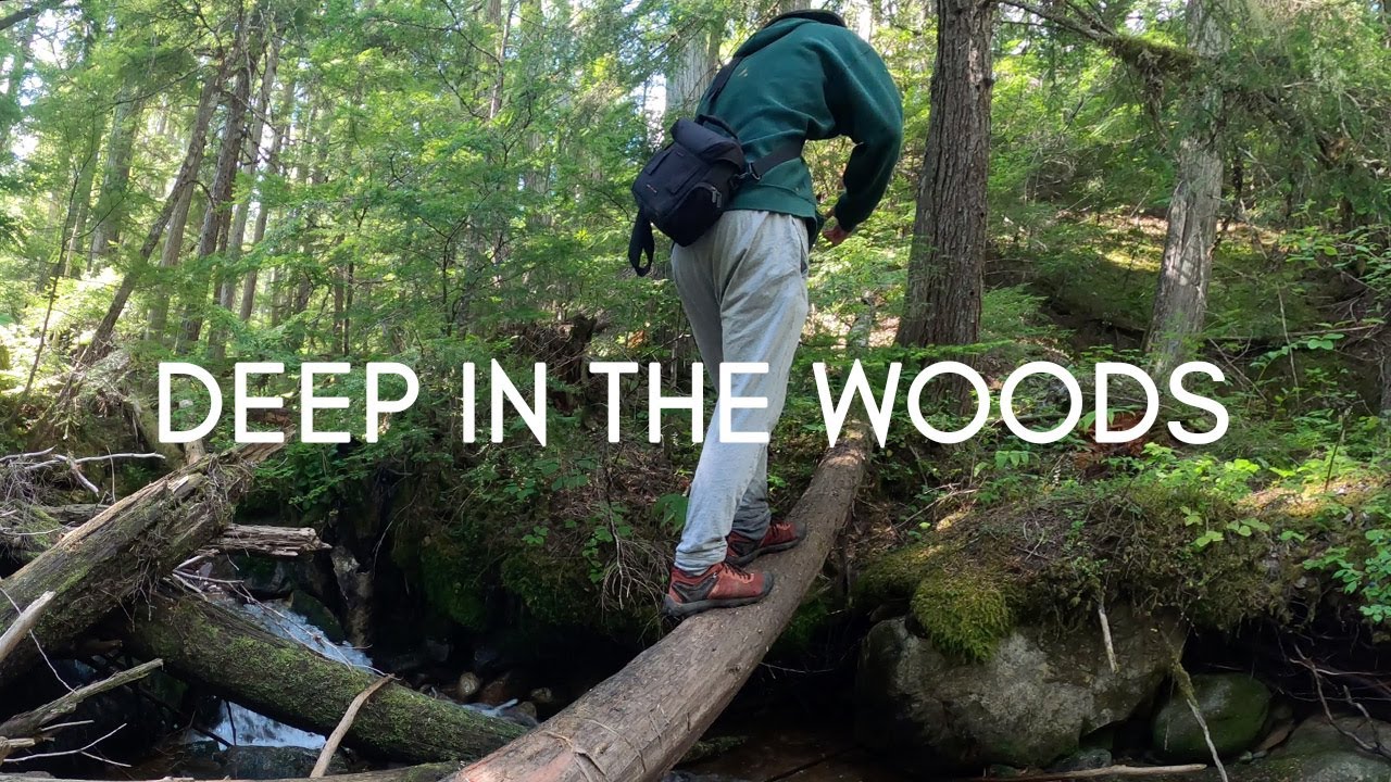 Hiking Deep in BC's Hidden Wilderness: the Monashees (4K POV)