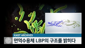 [ 2014 KAIST 연구성과 ] 면역수용체 LBP의 구조를 밝히다 - 화학과 이지오 교수 (KR)