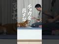 人間のトリセツ