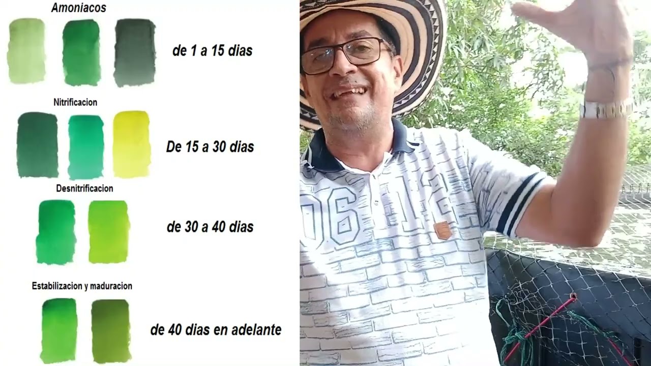 Cria de Tilapia sin cambio de agua