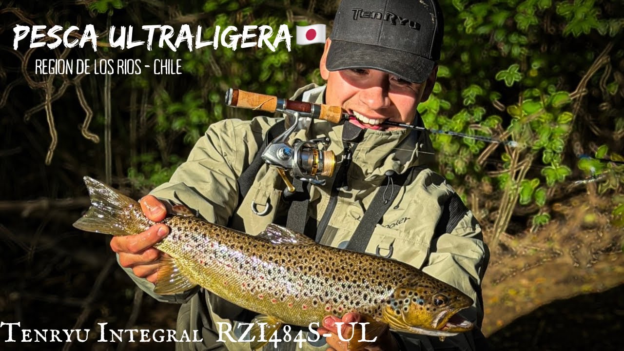 PESCANDO TRUCHAS CON MI NUEVA CAÑA ULTRALIGTH - TENRYU RAYZ INTEGRAL #fishing #fyp #chile #film 