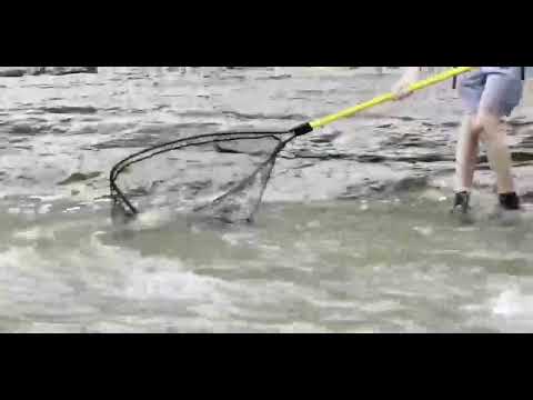 August 24, 2026 Salmon Fishing Ganaraska River
