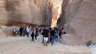 Petra  The Timeless Rose Red City