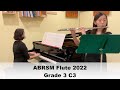 Hes a pirate  grade 3 c3 abrsm flute exam pieces from 2022