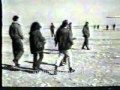 انسحاب اليهود من سيناء بعد معاهدة السلام