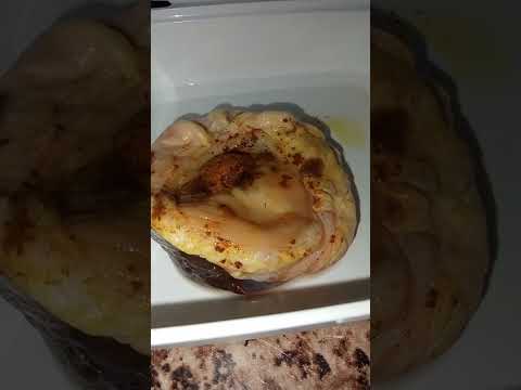 توضيحات على ورس أو خرز البقر وعلاقته بالسمنة وعدم الانجاب