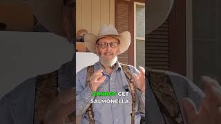 Deze Simpele Eiertest Kan Je Gezin Redden