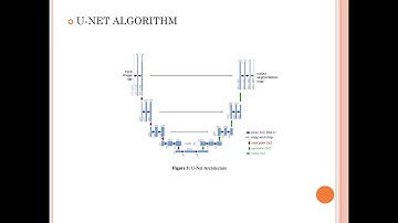 Dataset of Laryngeal Endoscopic Images for Semantic Segmentation - COM421 - IMAGE PROCESSING