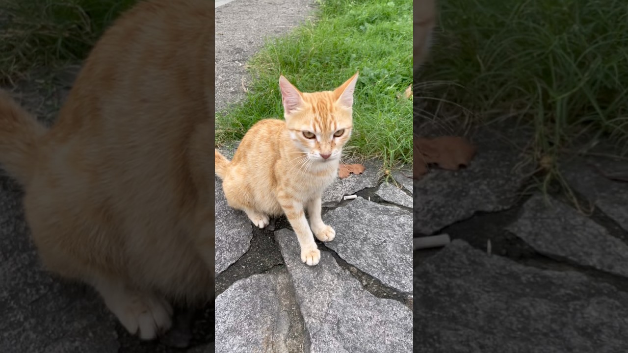 Baba oğul ilişkisi bakarıızz😼 