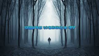 Chris Weddle TV Live Stream