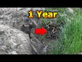 The Trenches 1 year after desertion + Channel Updates