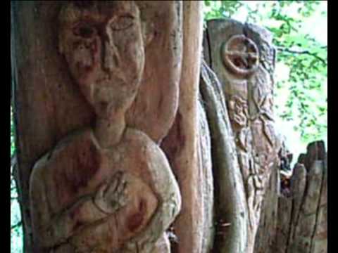 Tree stories - YouTube