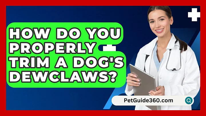 How Do You Properly Trim A Dog's Dewclaws? - PetGuide360.com