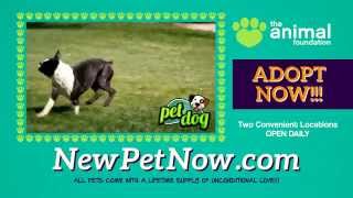 Pet Dog InFURmercial  Full Version (The Animal Foundation)