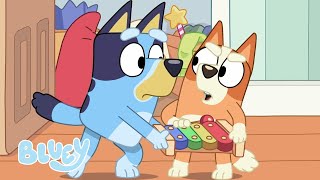 Gra z Blue i Bingo 💙 | Kreskówka dla Dzieci | Blue - oficjalny polski kanał